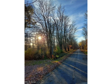 Beach Lot For Sale in Madison, Ohio