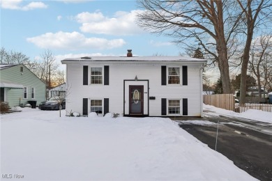 Beach Home For Sale in Madison, Ohio