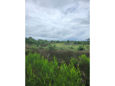 Beach Lot For Sale in Cedar Key, Florida