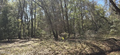 Beach Lot For Sale in Saint Helena Island, South Carolina