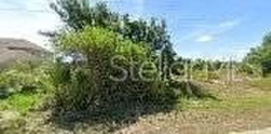 Beach Lot For Sale in Port Charlotte, Florida