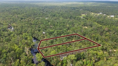 Beach Acreage For Sale in Steinhatchee, Florida