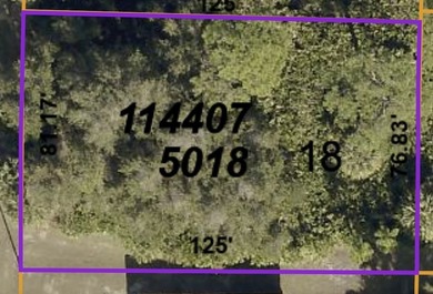 Beach Lot For Sale in North Port, Florida