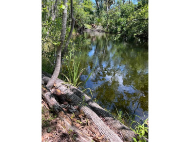 Beach Acreage For Sale in Steinhatchee, Florida