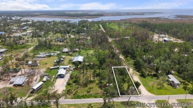 Beach Lot For Sale in Steinhatchee, Florida