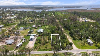 Beach Lot For Sale in Steinhatchee, Florida
