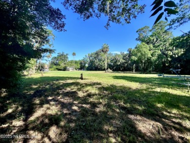 Beach Lot For Sale in Ponte Vedra Beach, Florida