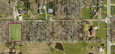 Beach Lot For Sale in Madison, Ohio