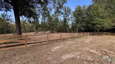 Beach Acreage For Sale in Foley, Alabama