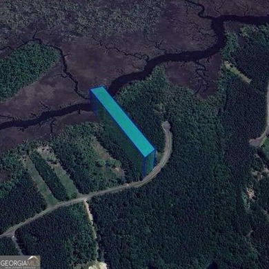 Beach Lot For Sale in Waverly, Georgia