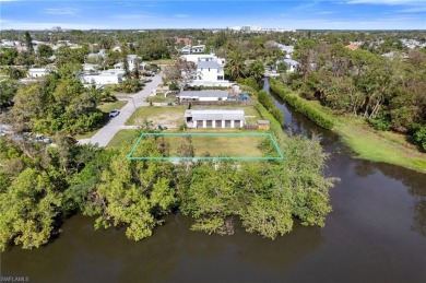 Beach Lot For Sale in Naples, Florida