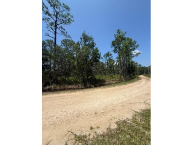 Beach Lot For Sale in Steinhatchee, Florida