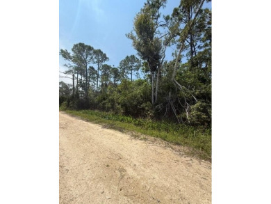 Beach Lot For Sale in Steinhatchee, Florida