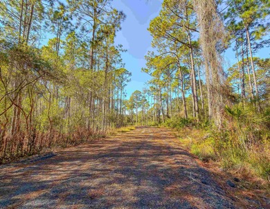 Beach Lot For Sale in Carabelle, Florida