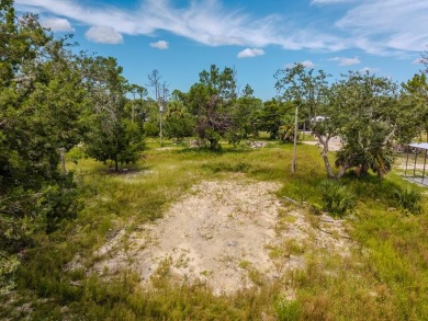 Beach Lot For Sale in Steinhatchee, Florida