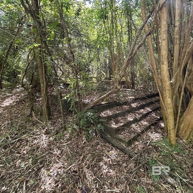 Beach Acreage For Sale in Robertsdale, Alabama