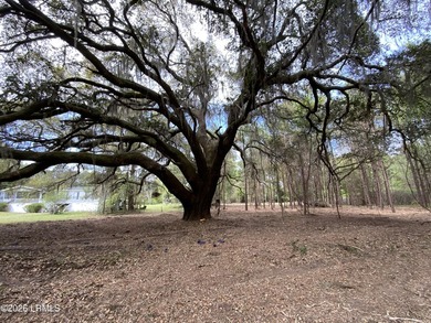 Beach Lot For Sale in Saint Helena Island, South Carolina