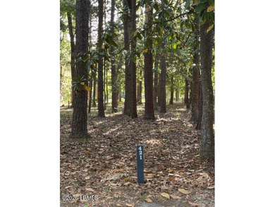 Beach Lot For Sale in Beaufort, South Carolina