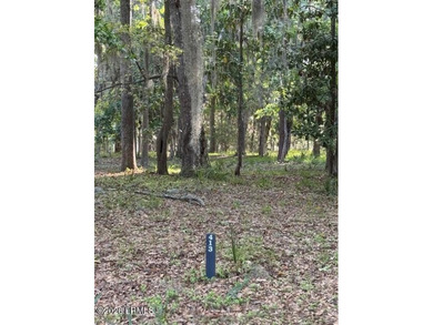 Beach Lot For Sale in Beaufort, South Carolina