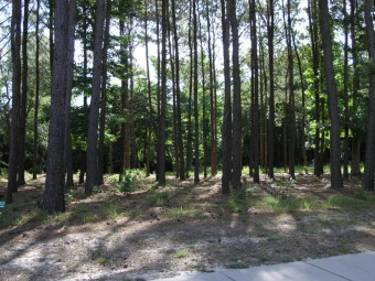 Beach Lot Off Market in Calabash, North Carolina