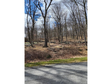 Beach Acreage For Sale in Kent, New York
