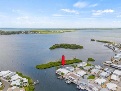Beach Home Sale Pending in Palmetto, Florida