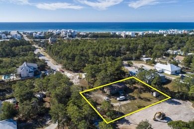 Beach Home For Sale in Inlet Beach, Florida