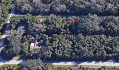 Beach Lot For Sale in Port Charlotte, Florida