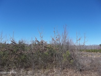 Beach Lot For Sale in New Hope, North Carolina