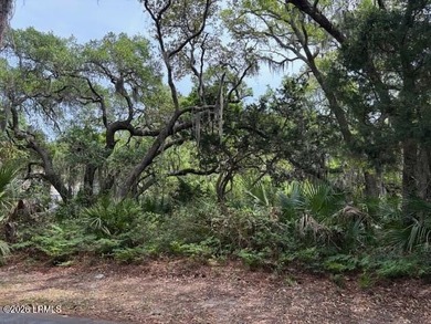 Beach Lot For Sale in Harbor Island, South Carolina