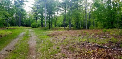 Beach Lot For Sale in Ellsworth, Maine