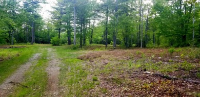 Beach Lot Off Market in Ellsworth, Maine