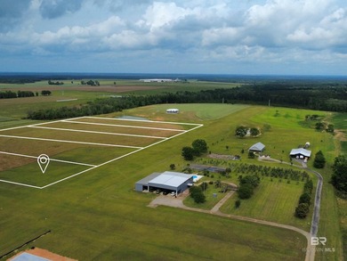 Beach Acreage For Sale in Robertsdale, Alabama