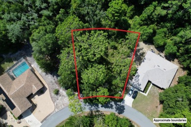 Beach Lot For Sale in Homosassa, Florida