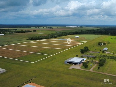 Beach Acreage For Sale in Robertsdale, Alabama