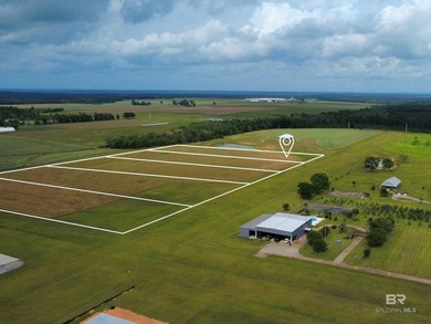 Beach Acreage For Sale in Robertsdale, Alabama