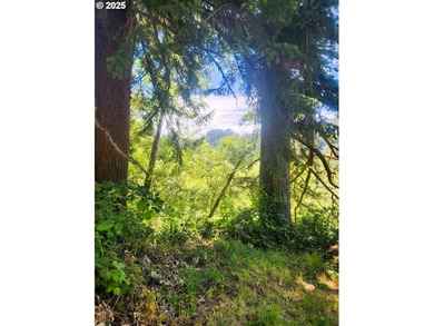 Beach Lot For Sale in Mapleton, Oregon