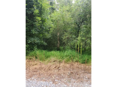 Beach Lot For Sale in Suffolk, Virginia