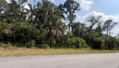 Beach Lot For Sale in Port Charlotte, Florida