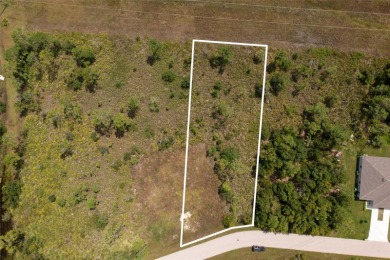 Beach Lot For Sale in Punta Gorda, Florida