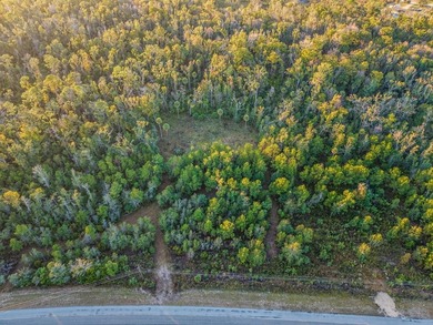 Beach Lot For Sale in Steinhatchee, Florida