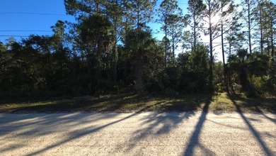 Beach Lot For Sale in Inglis, Florida