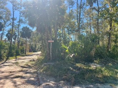 Beach Lot For Sale in Steinhatchee, Florida