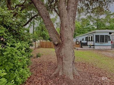 Beach Home For Sale in Lillian, Alabama