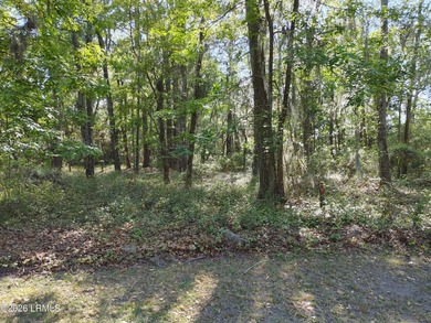 Beach Lot For Sale in Beaufort, South Carolina