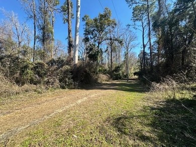 Beach Lot Active Under Contract in Crawfordville, Florida