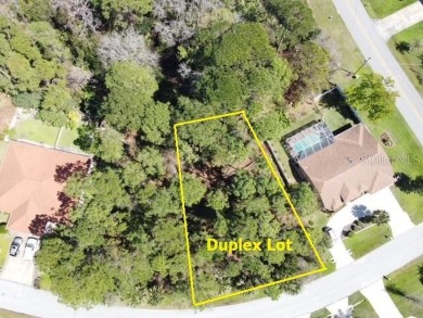 Beach Lot For Sale in Palm Coast, Florida