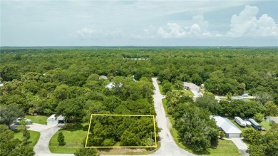 Beach Lot For Sale in Vero Beach, Florida