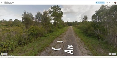 Beach Lot For Sale in Lehigh Acres, Florida