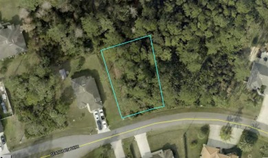 Beach Lot For Sale in Palm Coast, Florida